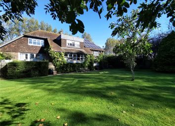 Thumbnail Detached house to rent in Horns Lane, Pagham, West Sussex