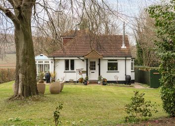Thumbnail Detached house to rent in Denbies Drive, Dorking