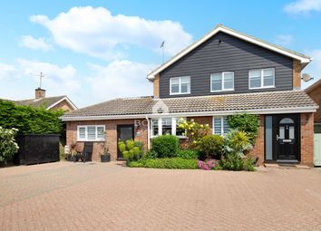 Thumbnail Detached house for sale in Malting Green Road, Layer-De-La-Haye, Colchester