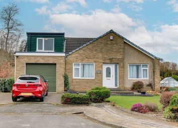 Property listing in Hexham, Northumberland