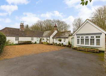 Property listing in Chichester, West Sussex