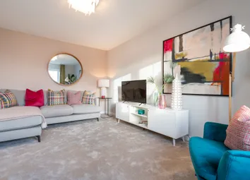 Showhome Photography