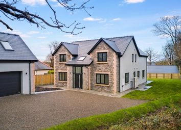 Ty Landsker Houghton-33.Jpg