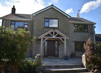 Thumbnail Detached house to rent in New Inn, Llandeilo