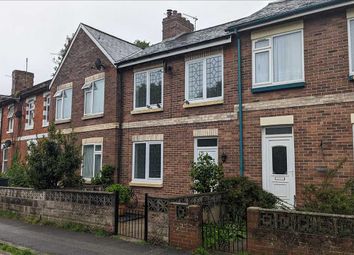 Thumbnail Terraced house to rent in Rosery Road, Torquay