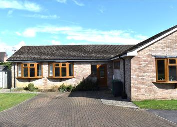 Thumbnail Bungalow to rent in Gore End Road, Ball Hill, Newbury, Berks