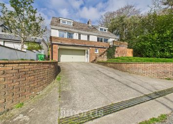 Property listing in Cardigan, Ceredigion