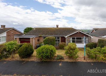Thumbnail 3 bed detached bungalow for sale in Higher Holcombe Road, Teignmouth, Devon