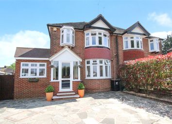 4 Bedroom  for rent