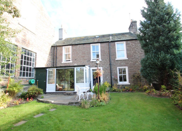 Thumbnail 3 bed semi-detached house to rent in Westfield Place, Dundee