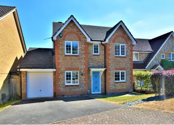 Thumbnail 4 bed detached house for sale in Whitebeam Close, Ashford