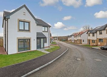 Thumbnail Detached house for sale in Airth, Falkirk