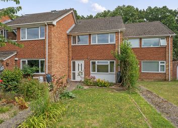 Thumbnail 3 bed terraced house to rent in Whitmore Green, Farnham, Surrey