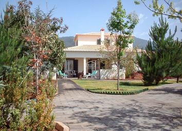 Thumbnail 5 bed villa for sale in Ponta Do Sol, Portugal