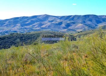 Thumbnail Land for sale in 15Ha Agricultural Land For Vineyard, Olive Grove, Almond Trees, Portugal