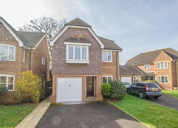 4 Bedroom  for rent