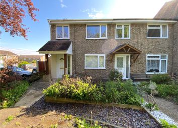 Thumbnail Semi-detached house to rent in Marlborough Road, Braintree, Essex