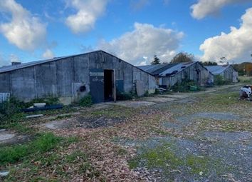Thumbnail Industrial for sale in Former Poultry Houses, Hillview Buildings, Woodhouse Farm, Woodhouse, Smannell, Andover, Hampshire