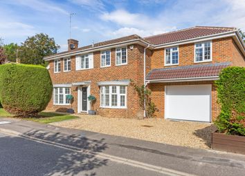 Thumbnail 5 bedroom detached house to rent in Dawnay Close, Ascot