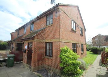 1 Bedroom Semi-detached house for rent