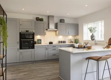 Dandara - Zoopla -