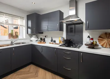 Showhome Photography