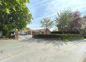 Thumbnail Detached bungalow for sale in New Road, Worlaby, Brigg