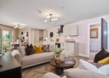 Showhome Photography