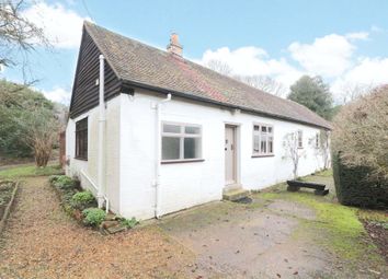 Thumbnail Bungalow to rent in Tilford, Farnham, Surrey