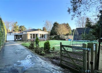 Gregories Farm Lane, Beaconsfield HP9, south east england property