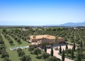 Thumbnail 4 bed farmhouse for sale in Finca, Binissalem, Mallorca, 07300