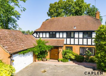 Dji_20240812113753_0122_D Copy 2.Jpg