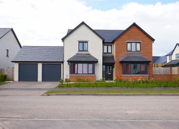 Thumbnail Detached house for sale in Freestone Way, Barrow-In-Furness