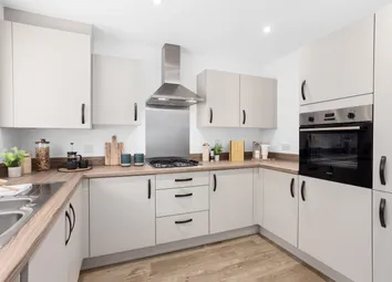 Showhome Photography