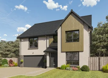 240625 cala Killearn Lewis Ht