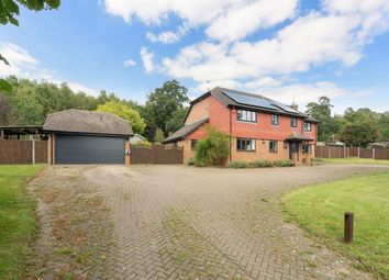 Thumbnail 5 bed detached house for sale in Longmoor Road, Greatham