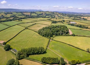 Dji_0667.Jpg
