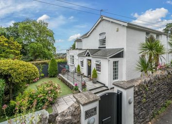 Thumbnail Detached house for sale in Cedars Road, Torquay, Devon