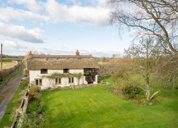Thumbnail Detached house for sale in Rapps, Ilminster