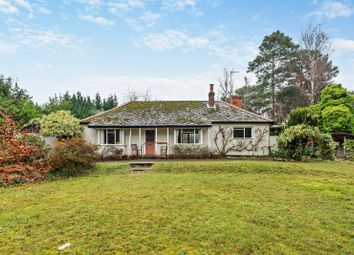 Thumbnail Bungalow for sale in High View Road, Lightwater, Surrey