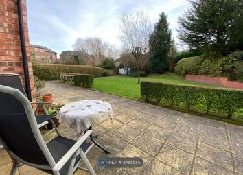 Shared Garden