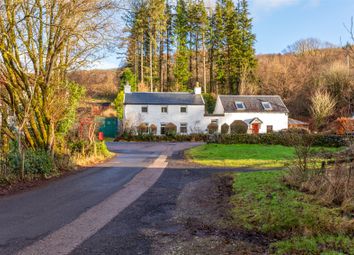 Property listing in Colintraive, Argyll &amp; Bute