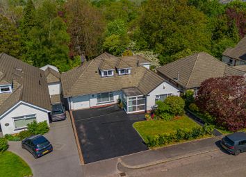 Cyncoed Rise 8 Drone-1.Jpg