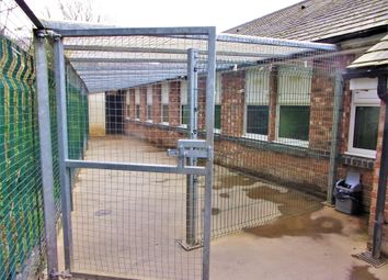 Thumbnail Commercial property for sale in Kennels, Cattery &amp; Equestrian Businesses NE61, Northumberland