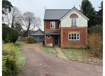 Thumbnail Detached house to rent in Lavender Road, Woking