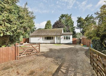 Thumbnail Detached bungalow for sale in Oaks Drive, Swaffham