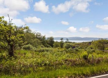 Barr An Taolain Wood, Kilfinan, By Tignhnabruaich, Argyll And Bute PA21. Sub image 0. Plot Of Land