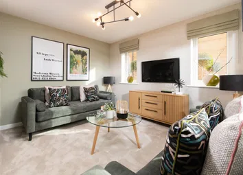 Showhome Photography