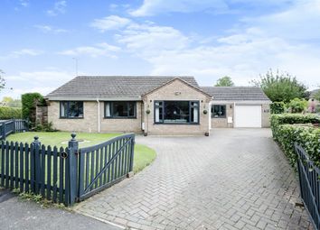 Thumbnail Detached bungalow for sale in Windsor Drive, Ramsey, Huntingdon