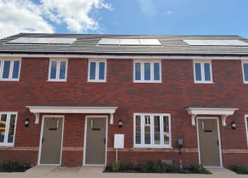 Two Identical Brick Townhouses With Gray Doors And White-Framed Windows Stand Under A Bright Blue Sk